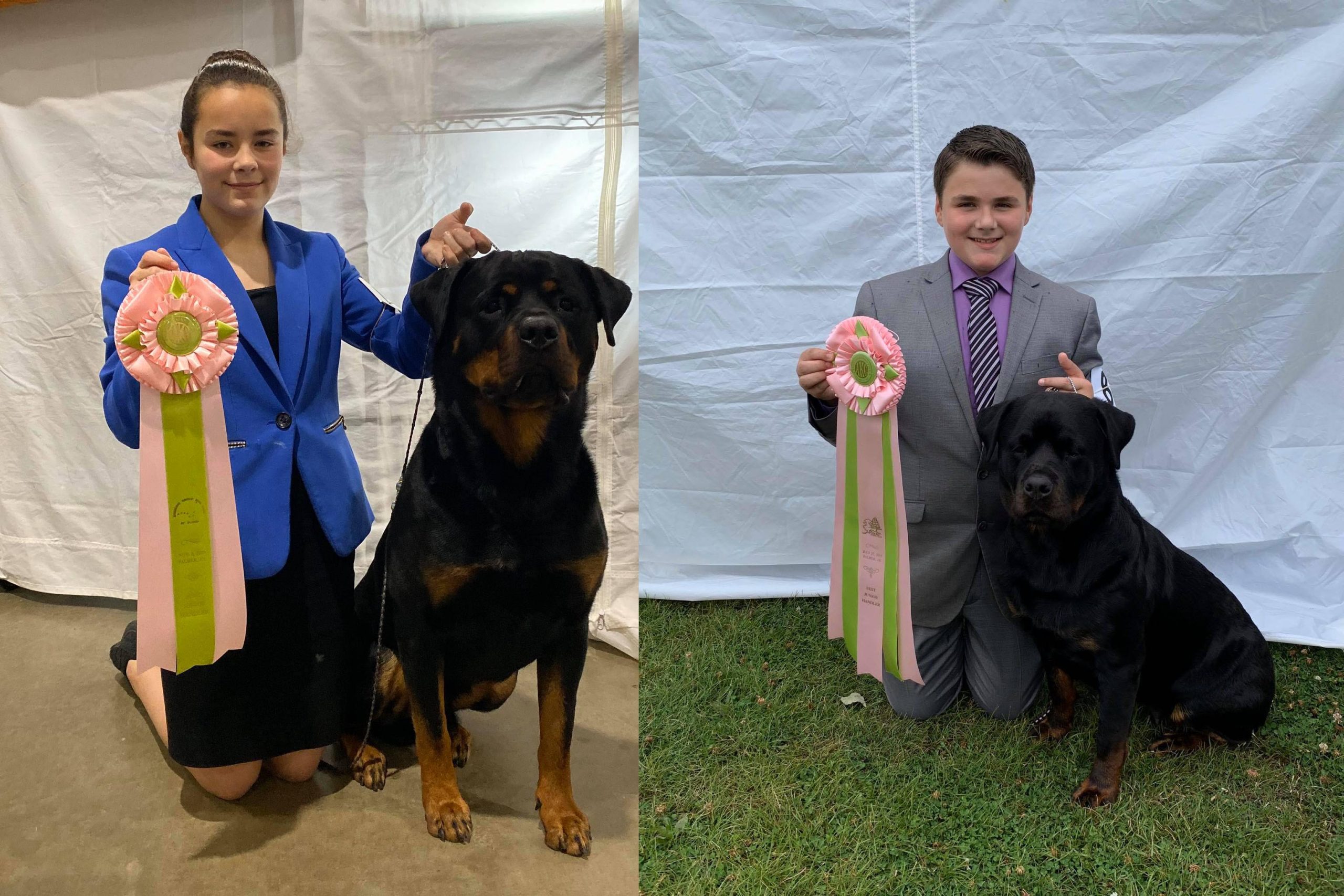 Rottweiler clearance and kids