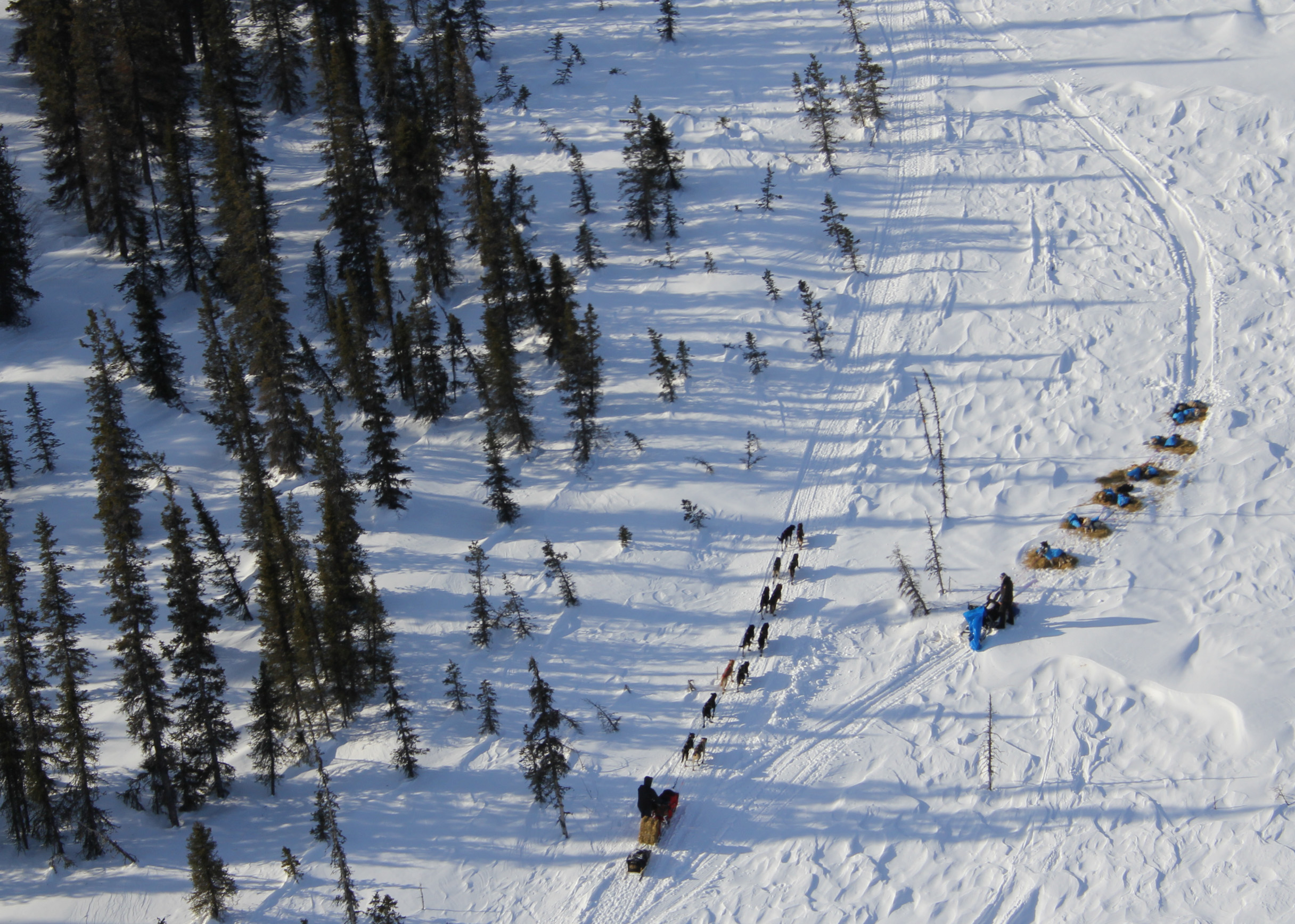 The Iditarod Route and History in Alaska