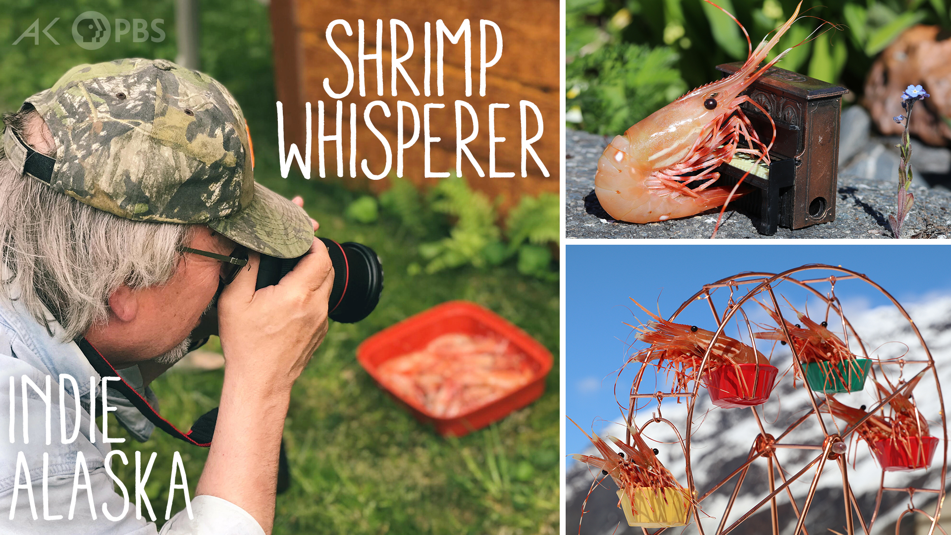 Where Are They Now The Shrimp Whisperer Indie Alaska Alaska