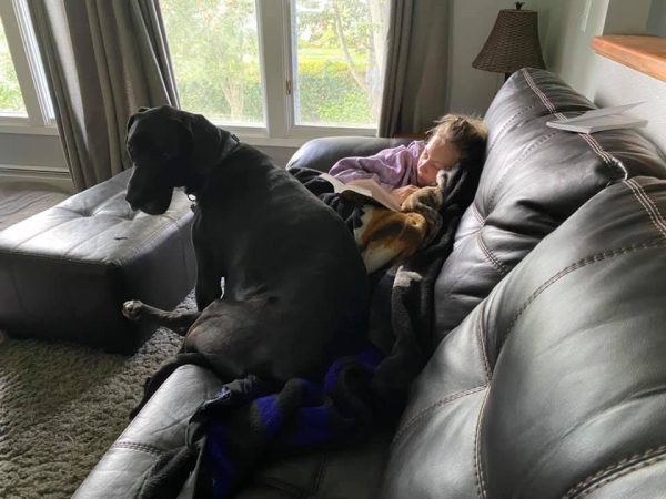 A girl sits in the corner of the couch reading a book under a blanket with a large black dog sitting next to her