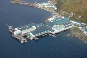 An aerial view of OBI Seafoods showing a blue-roofed processing plant jutting out into the water from a green island. 