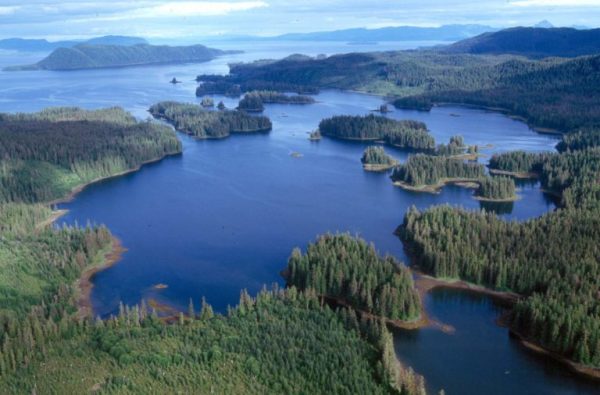 An aerial image showing a bay with several small islands covered in spruce trees