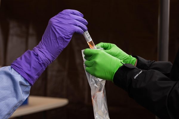 A hand with a blue glove drops a test tube in a ziploc bag held by two green hands.