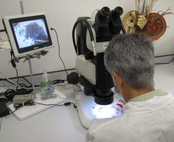 A researcher looks through a microscope with a monitor showing what she's looking at