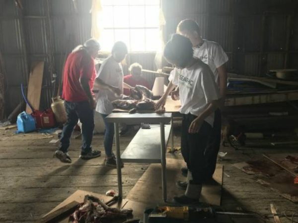 Youth work in a dark room with light coming in from the far window. In the middle is a table with a carcass of a dear, which the youth are cutting up .
