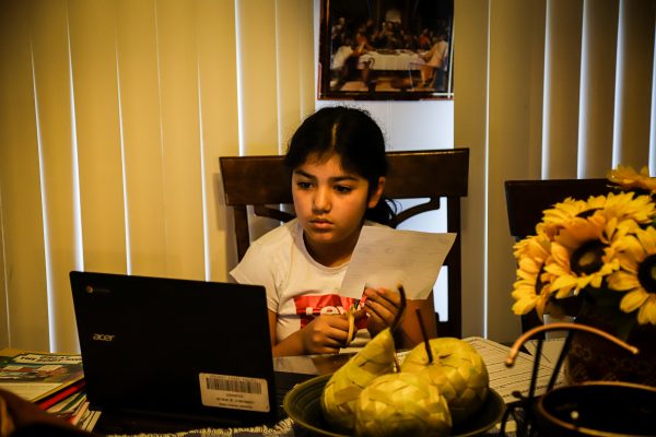 a child studies at home in front of a computer
