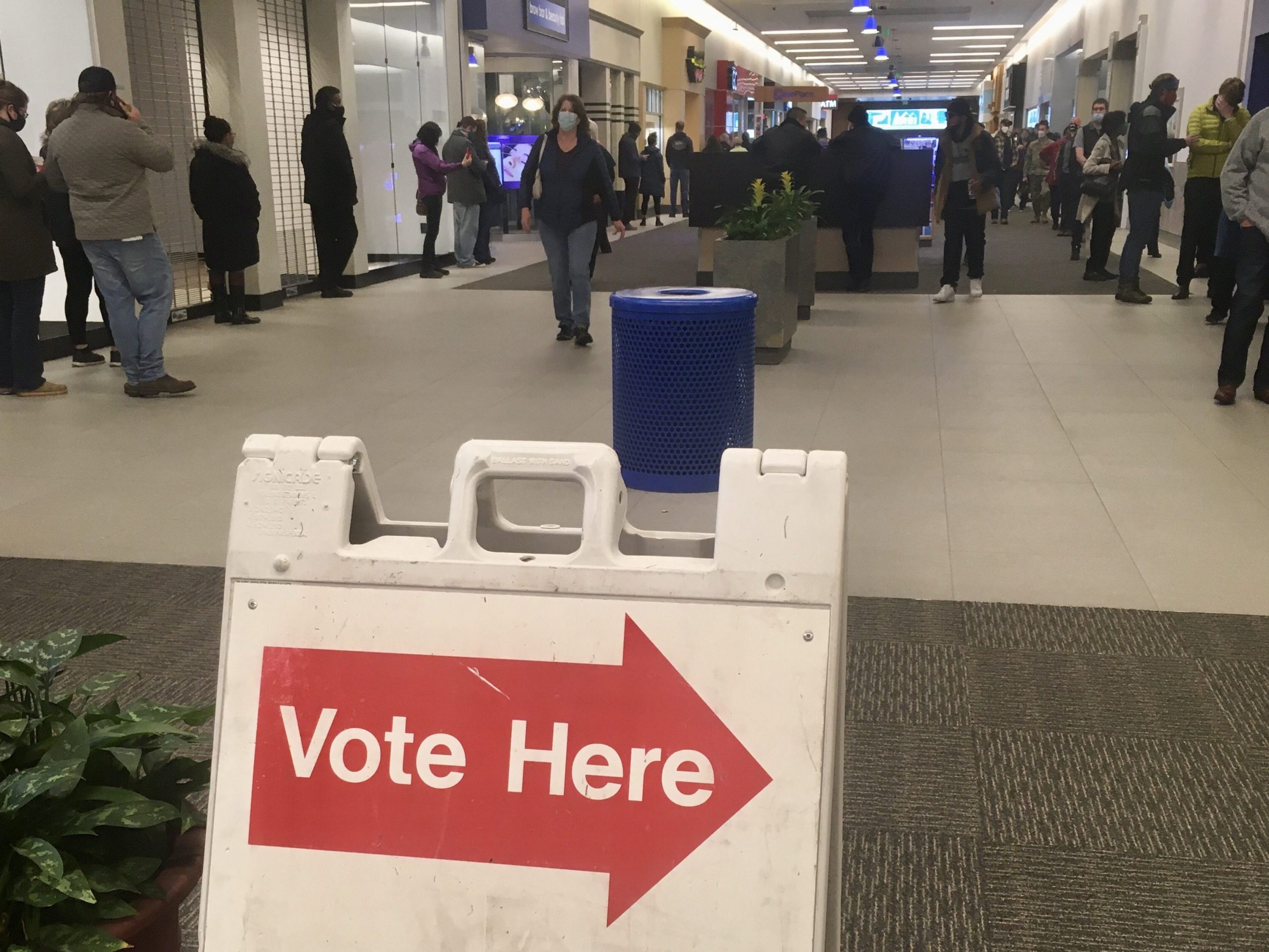 A sign in the foreground says "vote here polling place". on both sides is a long line of people.
