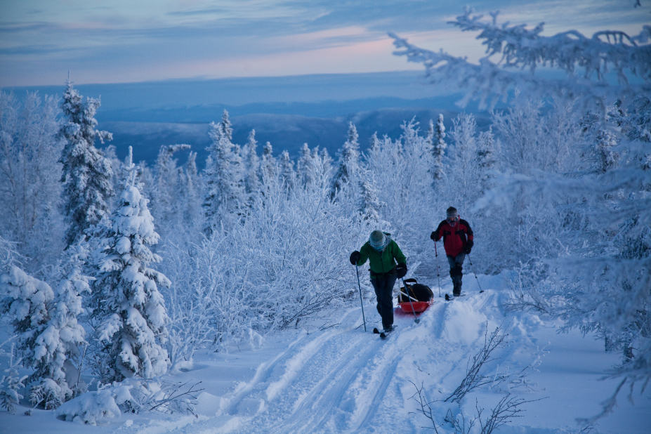 Two skiers in low light in mid winter next to short spruce trees