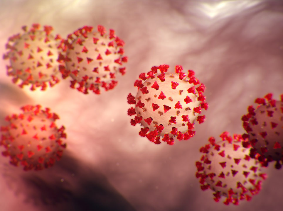 Red coronaviruses float around