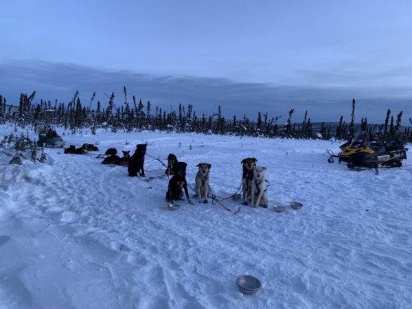 A dog team sits in the snow in front of sooome small hills