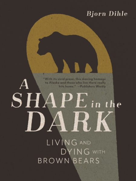A Shape in the Dark cover