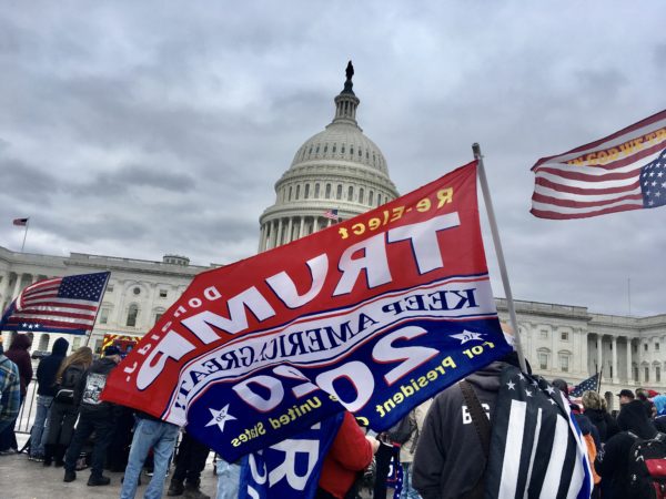 trump flags and american flags drape protestors at the Capitol