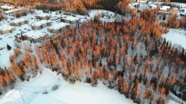 An aerial photograph of a snow-covered wooded area with buildings nearby.