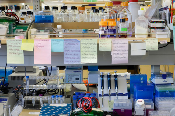 a row of notes in a science lab