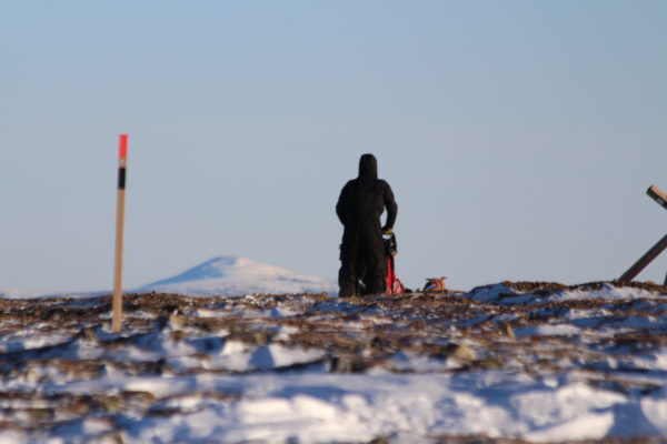 A musher goes over a rocky summit