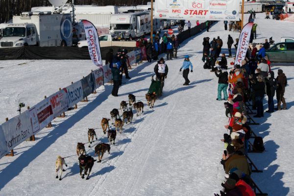 A musher and sled dogs dash from a snowy race starting line.