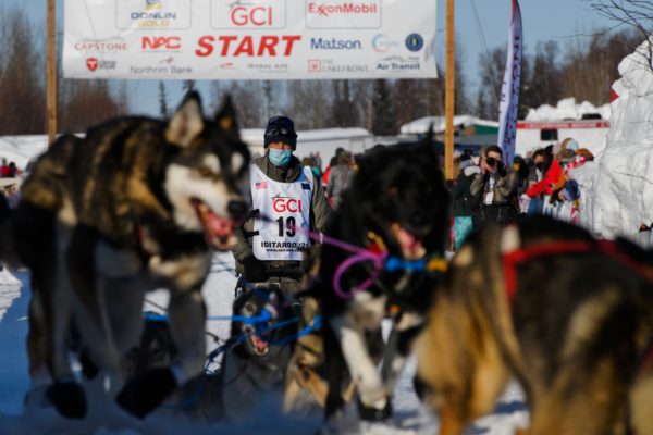 An Iditarod musher and sled dogs