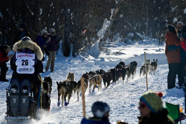 An Iditarod musher and sled dogs.