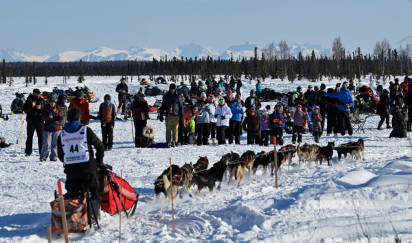 A musher and sled dogs race by a crowd standing in the snow.