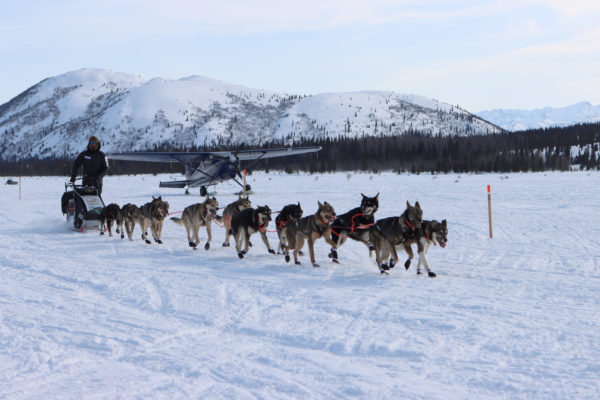 A sled dog team races on a snowy trail with a plane and mountains in the background.