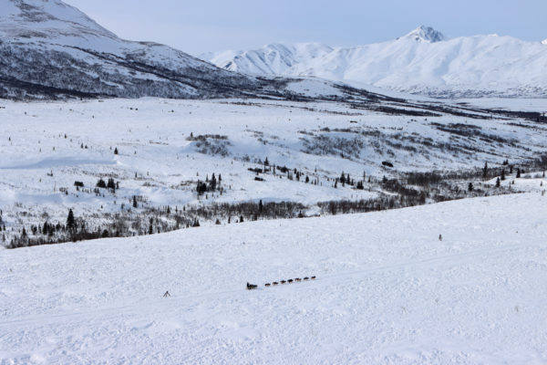 An aerial view of a musher and sled dogs racing across a vast, snowy expanse with mountains in the background.