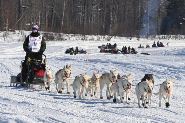 A dog team drives down a white trail with fans in the background on a sunny day