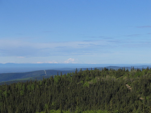 A large forested hilly area with a large snowy mountain in the distance