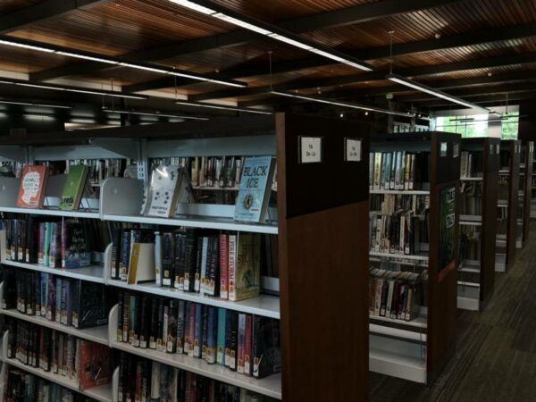 Several library shelves