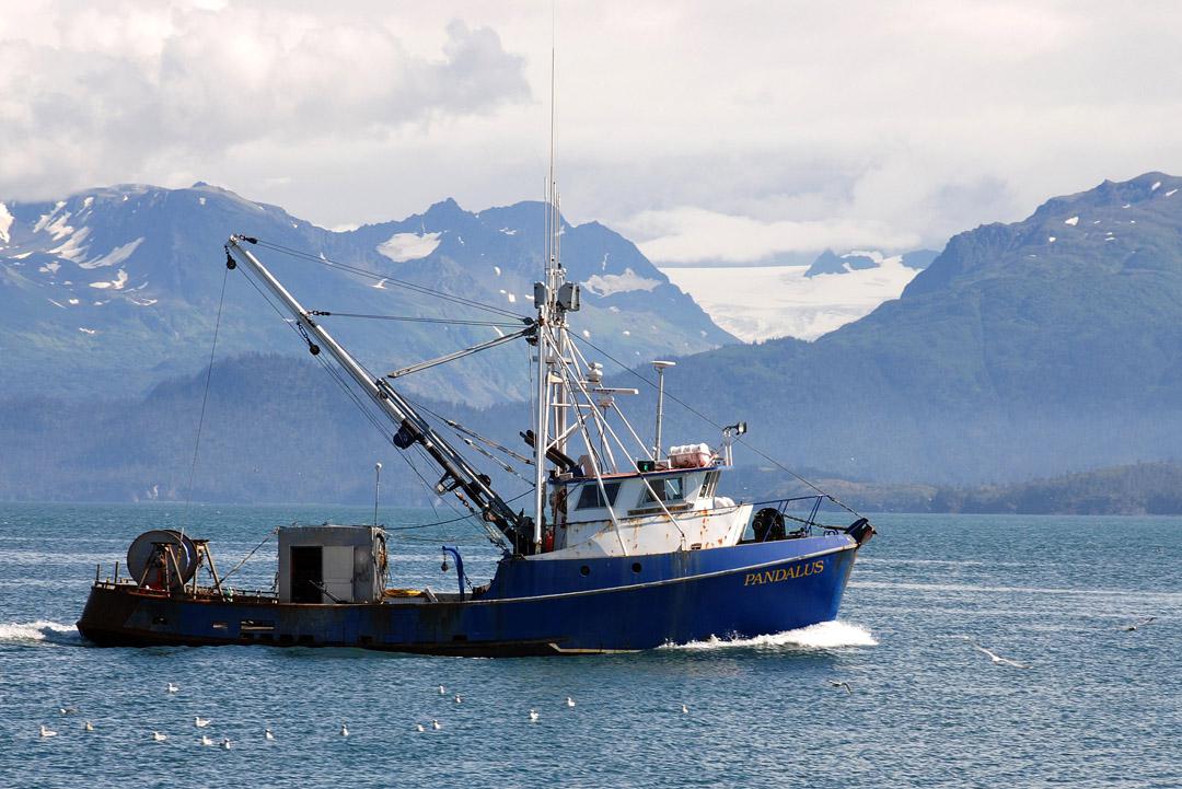 In victory for commercial fishermen, court orders Cook Inlet fishery to  reopen - Alaska Public Media