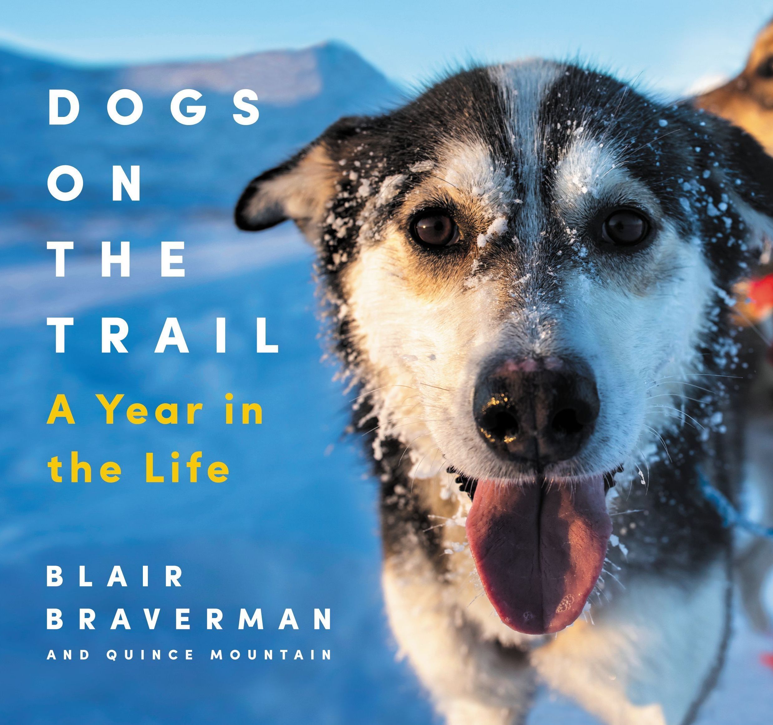 The cover of a book that says "Dogs on the trail: A year in the life"