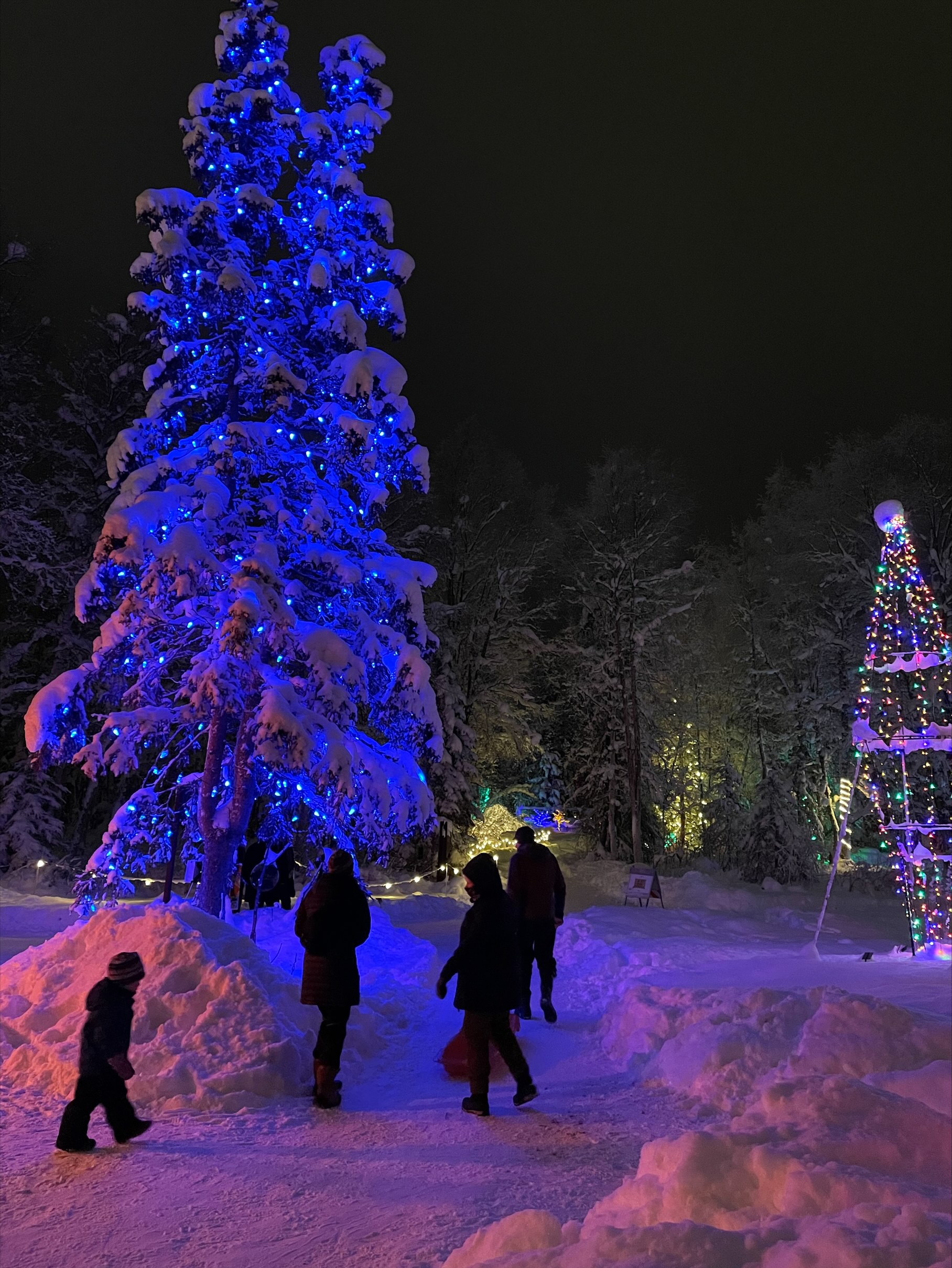 Solstice trees and holiday wishes from Anchorage Alaska Public Media