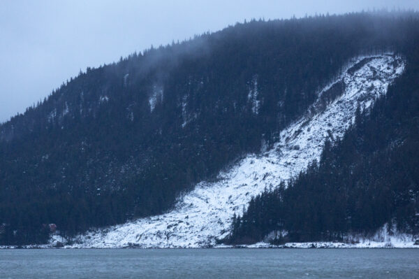 Snow tears down trees on a mountainside.