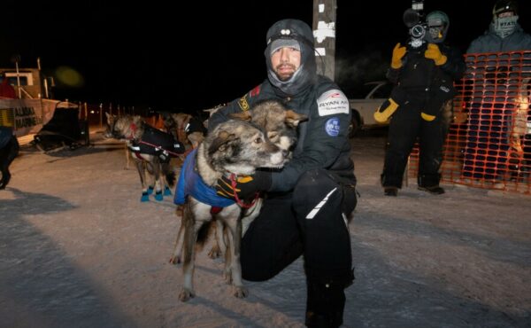 A musher poses with two sled dogs