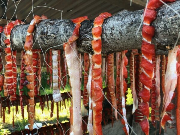 Salmon strips hung up to dry