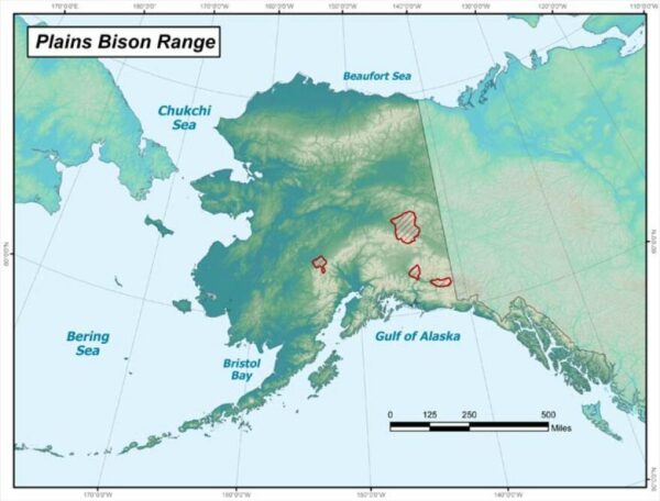 A map showing the locations of bison populations in Alaska