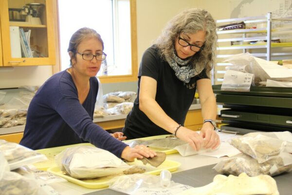 Two women working with bone fragments inside