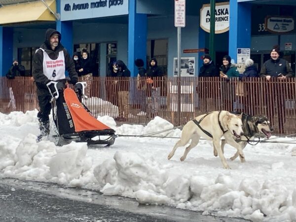 musher and dog team on urban street.