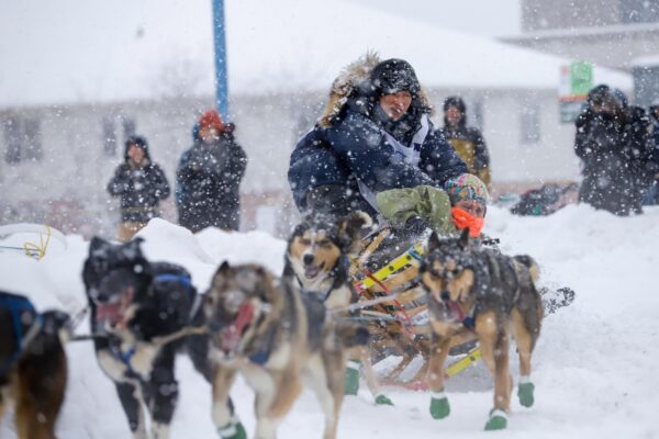 A woman driving a sled nearly tips it over as dogs ru in front of her in heavy snow