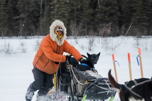 a man holds onto a dog sled
