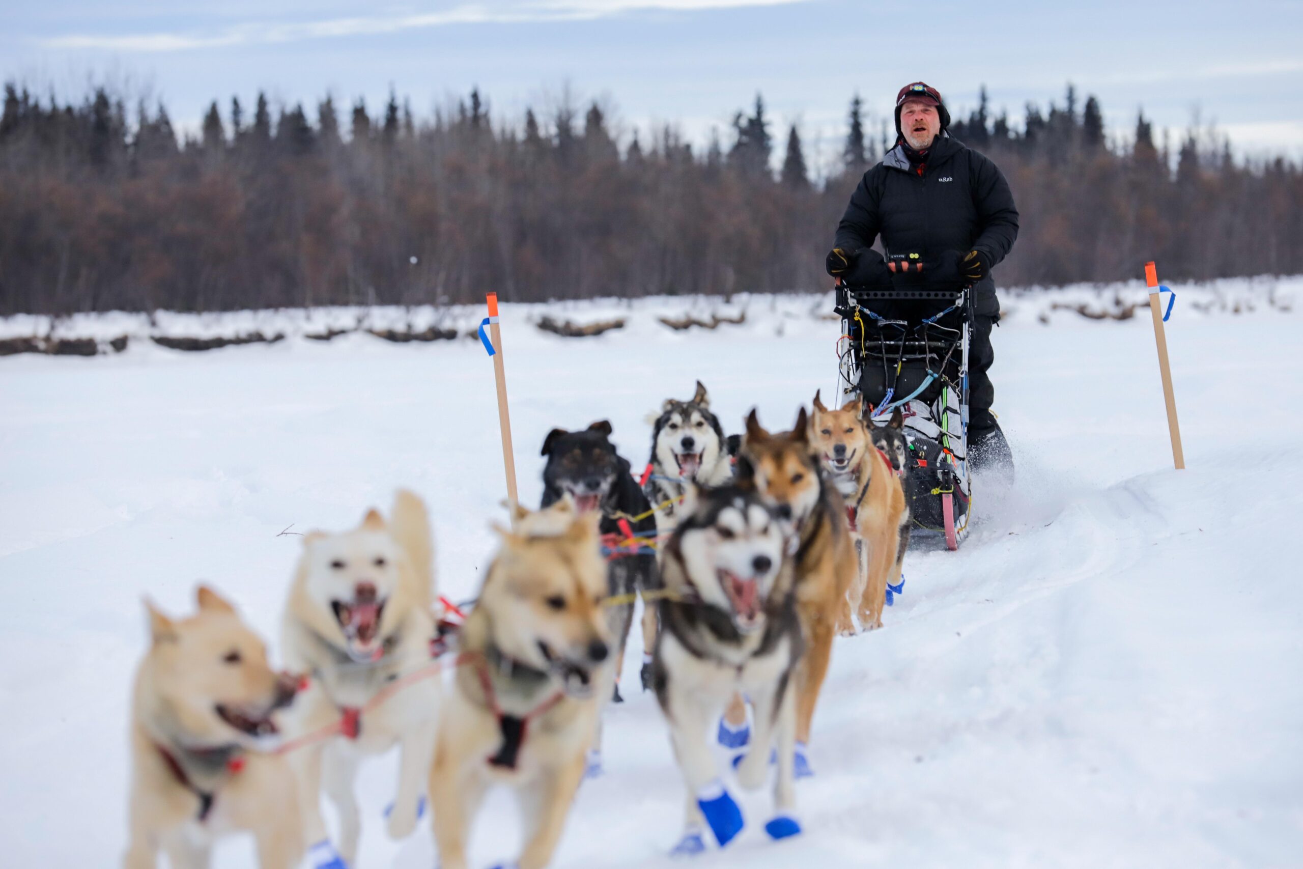 Aaron Burmeister and his 13-dog team are first to McGrath - Alaska ...