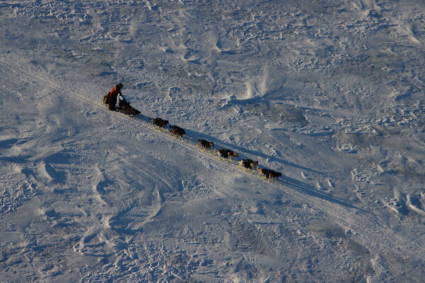 An aerial view of a musher