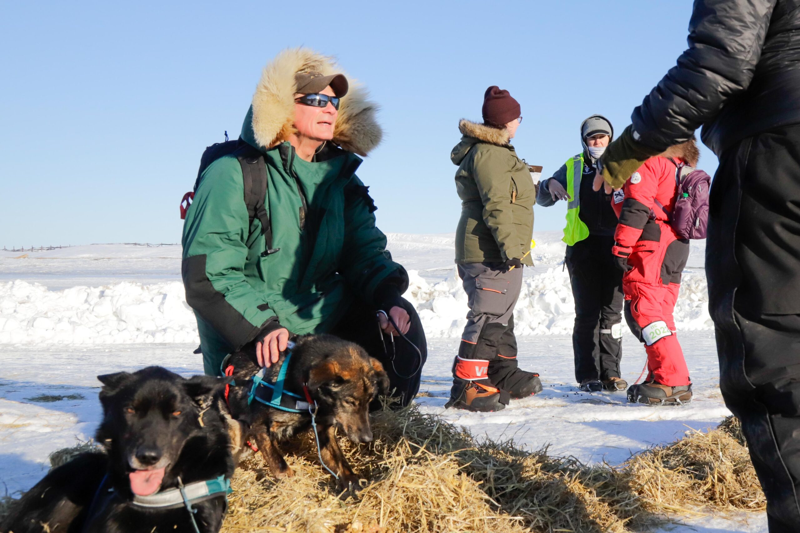 a person examines a dog and talks to a person