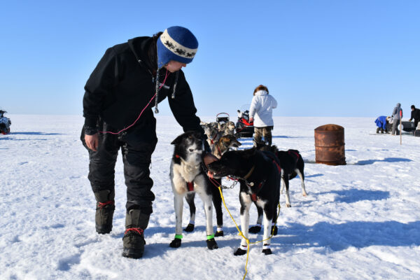 A musher and a dog team