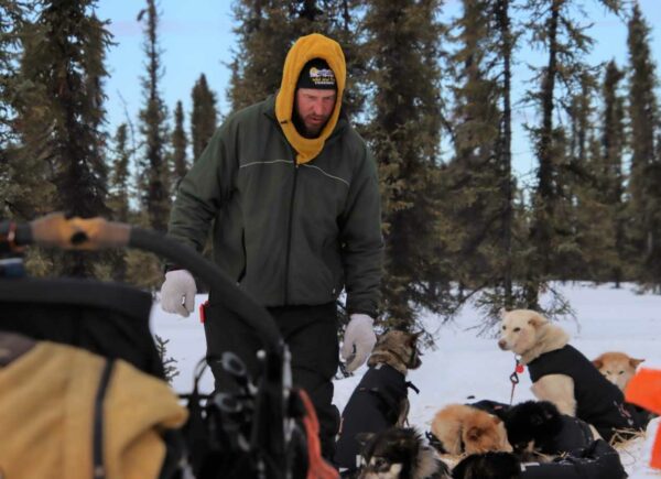 A musher and his dogs