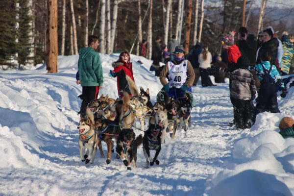 A dog team runs down a trail next to a powerline surrounded by fans
