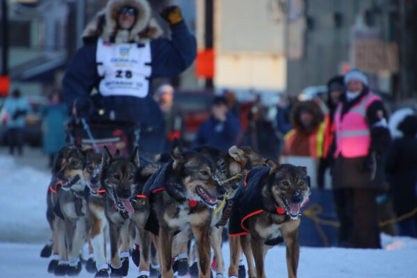 A dog team comes into the finish with a cheering crowd.