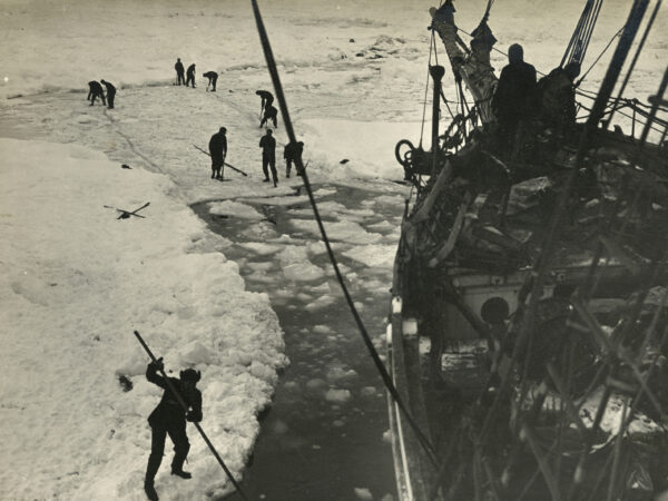 A black and white photo of men standing on sea ice in front of the ship, breaking it up.