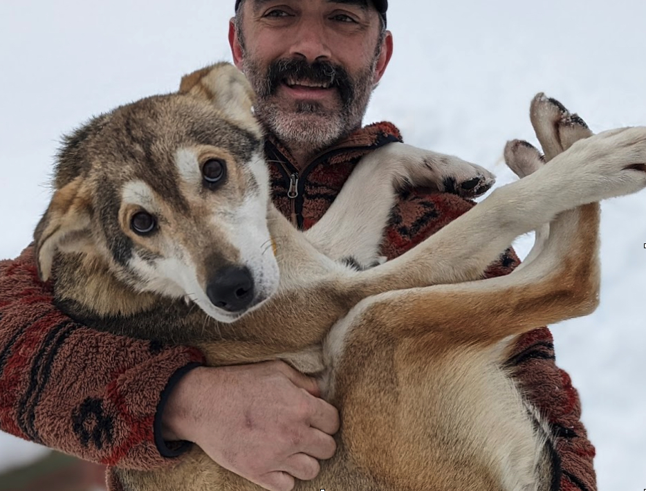 A man cradling a full-sized sled dog in his arms like a baby