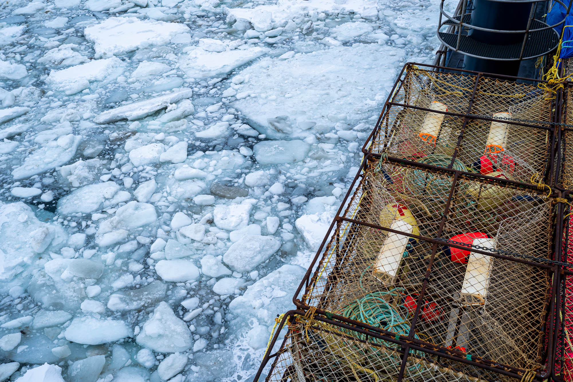 Alaska snow crab fishery saw steep decline. This reporter went