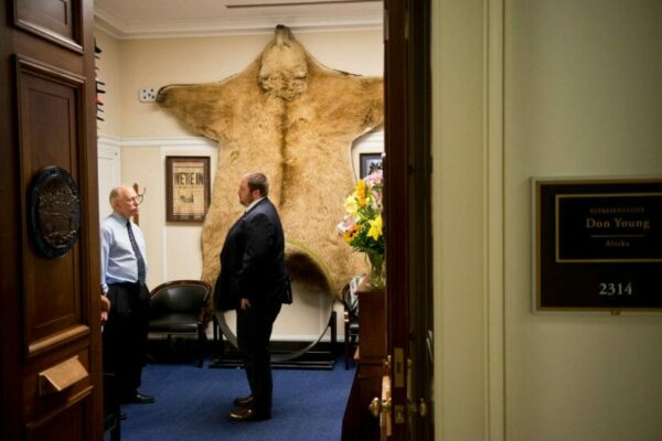 Two men talking in an office in front of a bear skin wall hanging